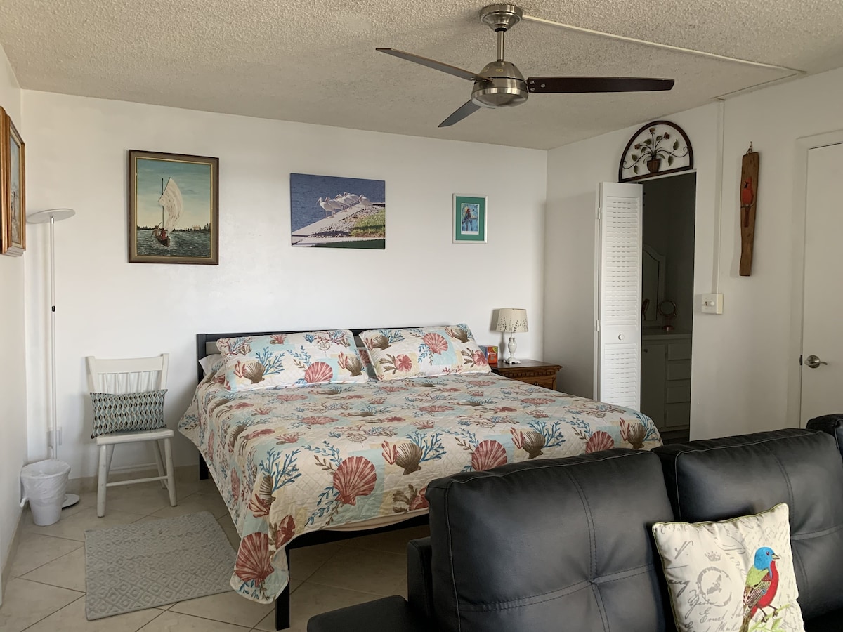 A bedroom with a bed, a chair, a nightstand, a lamp, a ceiling fan, and a door.