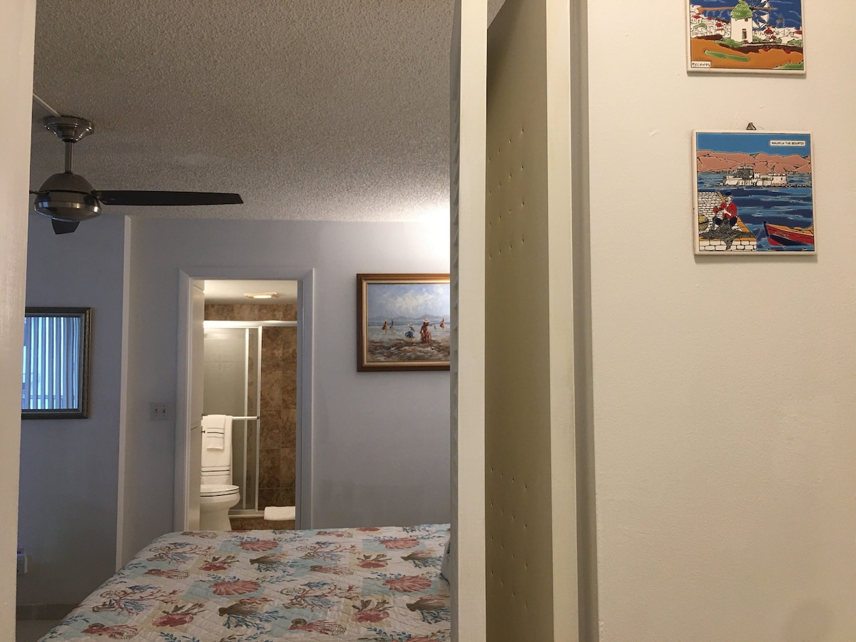 A bedroom with a bed, a ceiling fan, a door leading to a bathroom, and two wall-mounted pictures.